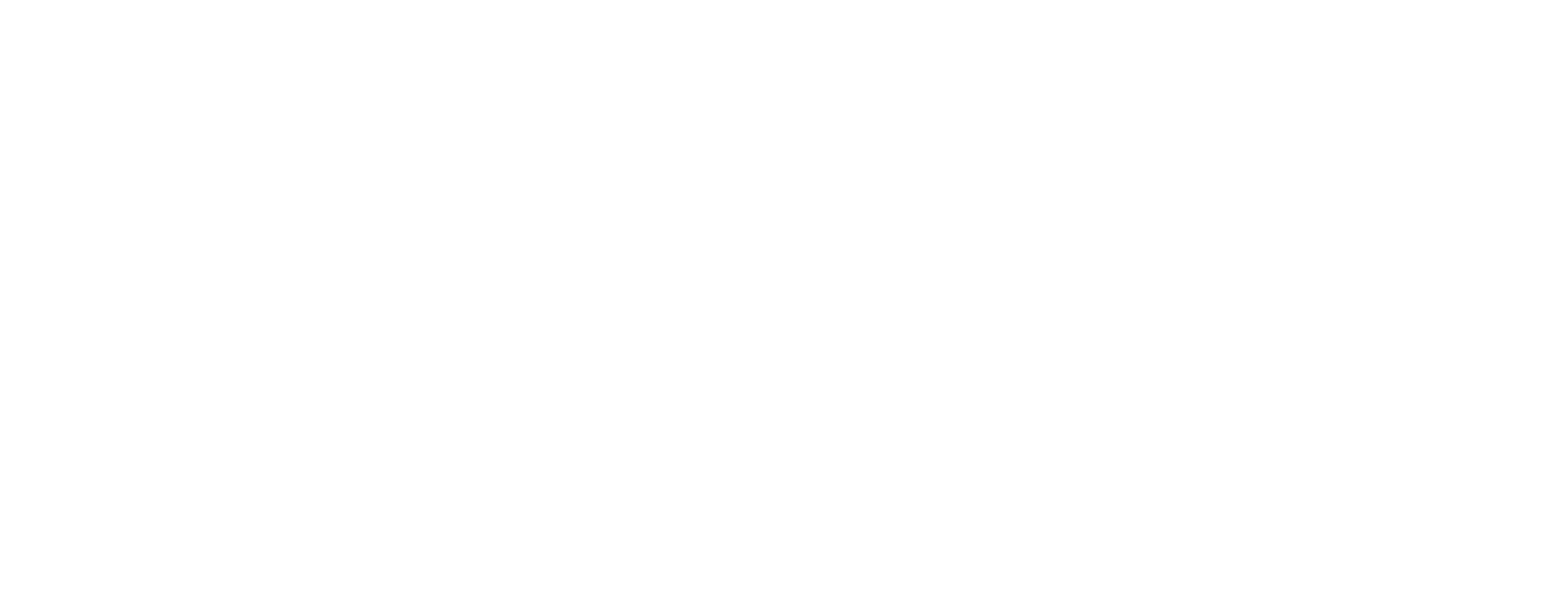 LITUS Automobiles