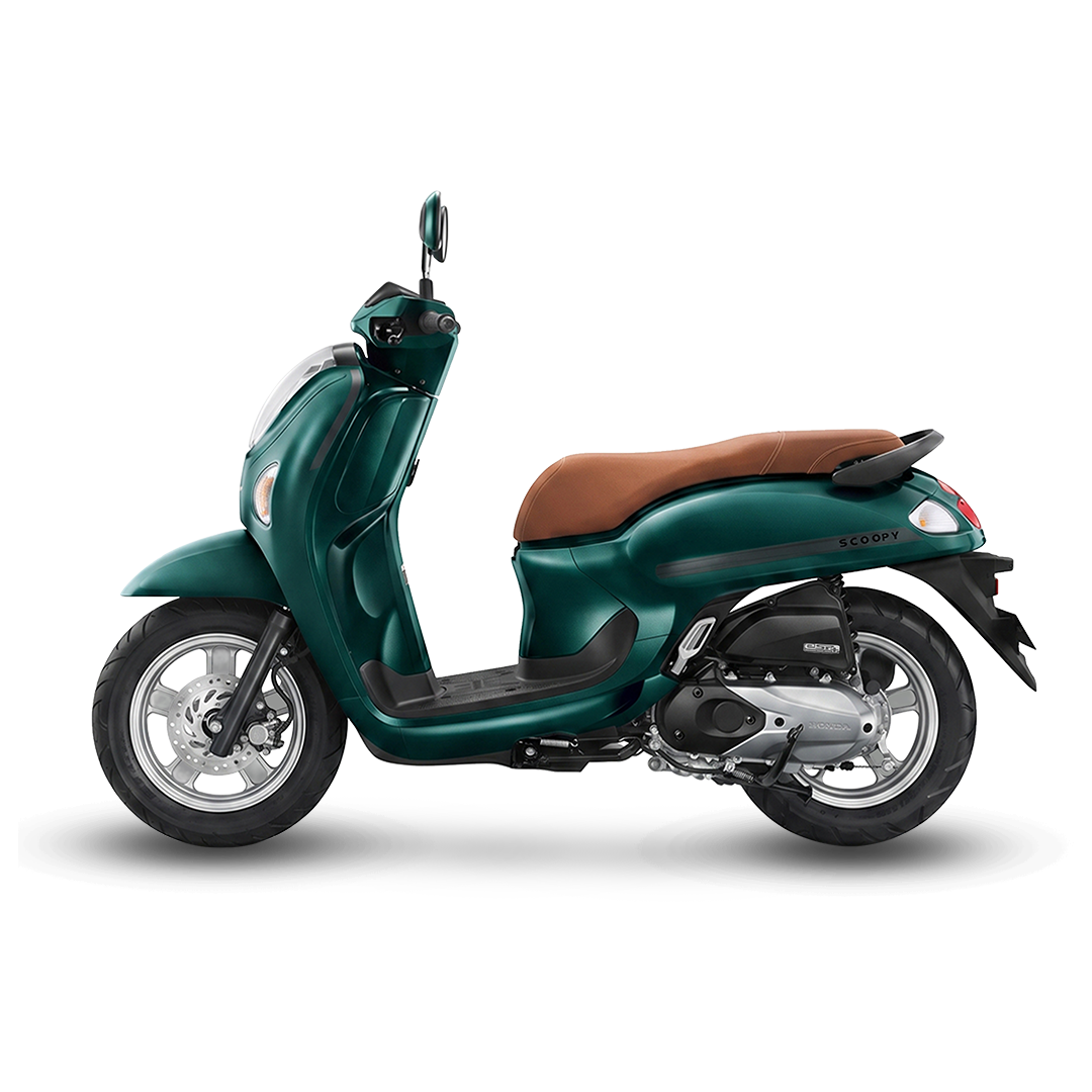 Scoopy Stylish 2026