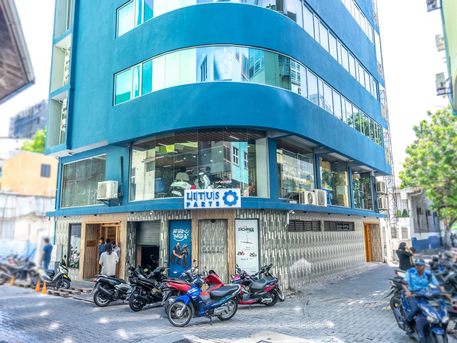 Head Office